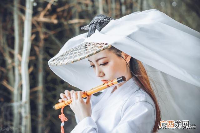 杨振宁的理论到底说的是什么 杨振宁成就厉害体现在哪里