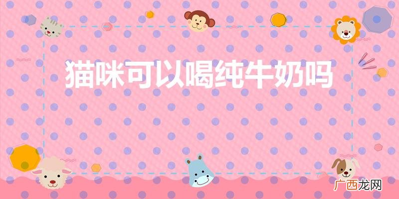 小猫能喝纯牛奶么 猫咪可以喝纯牛奶吗