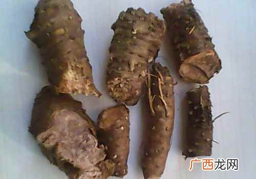 红景天的功效与作用及禁忌症 红景天的功效与作用及禁忌