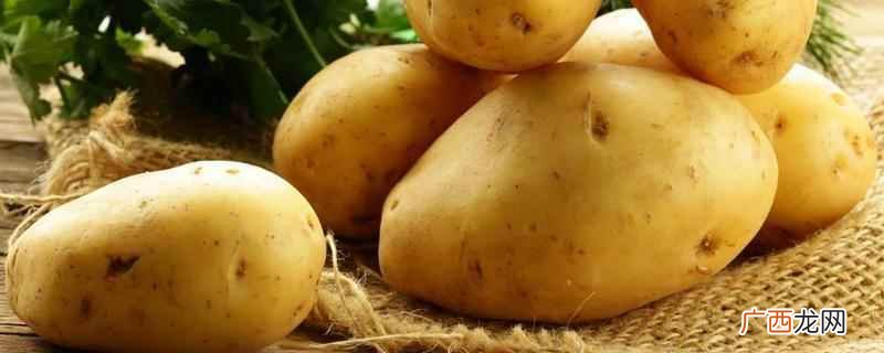 马铃薯是土豆吗有什么区别 马铃薯是土豆吗