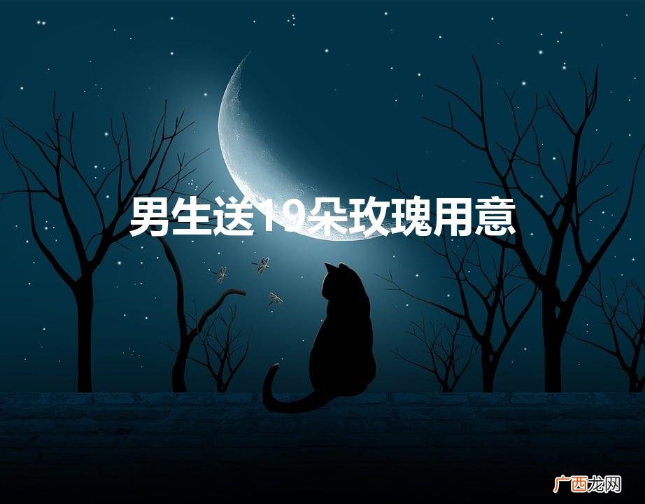 玫瑰送19朵好还是33朵好 男生送19朵玫瑰用意