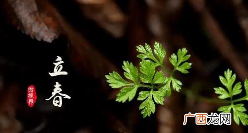 2023年哪天立春什么时刻 2023年哪天立春什么时刻立春