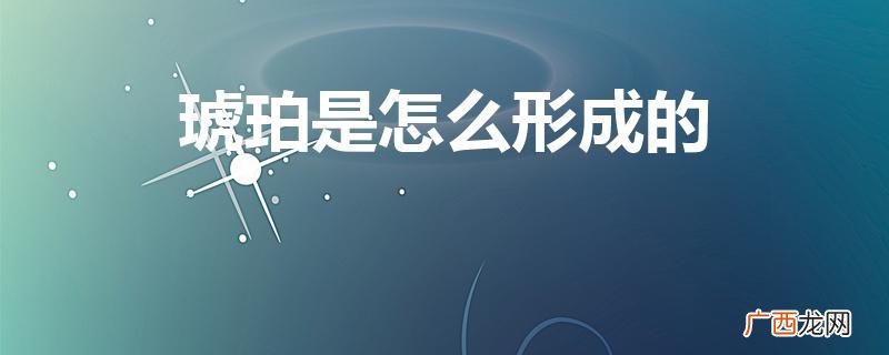 琥珀怎样形成的 琥珀是怎么形成的