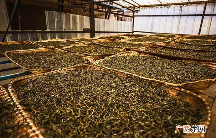 夏天适合喝普洱茶吗 夏天喝普洱茶适宜吗