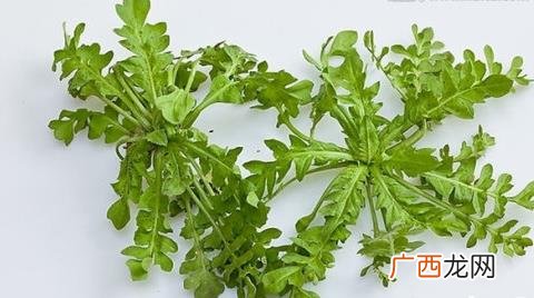 荠菜吃不完怎么保存最佳 荠菜怎么存放一年不坏