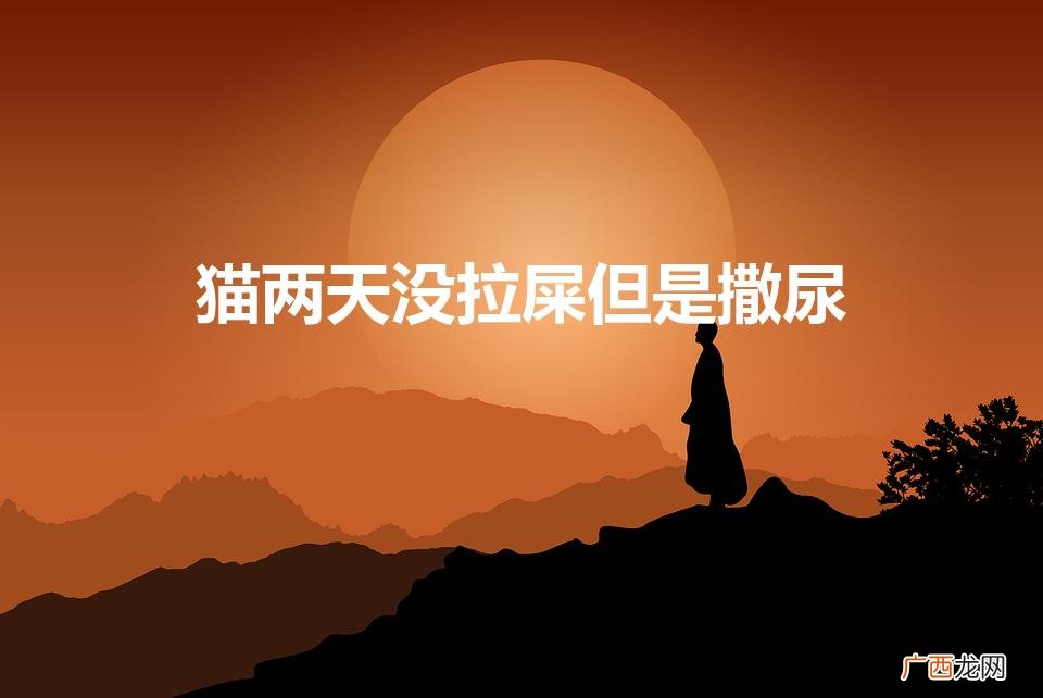猫三天没拉屎但是撒尿 猫两天没拉屎但是撒尿
