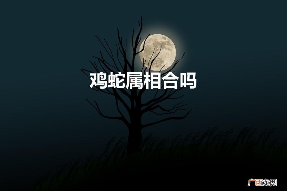 鸡蛇属相婚配好不好 鸡蛇属相合吗