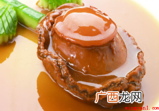 鲍鱼是鱼类吗蚂蚁庄园3月26日正确答案:不是啦答案解析