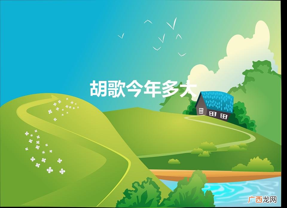 胡歌今年多大年龄 胡歌今年多大