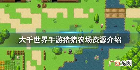 大千世界手游猪猪农场会掉落哪些资源 大千世界手游猪猪农场掉落哪些东西