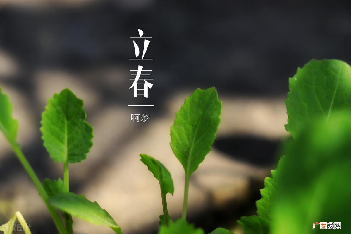 是独体字还是上下结构 春是什么结构