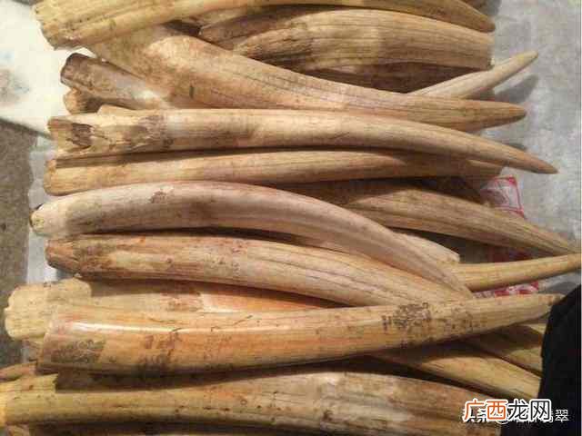 虬角为什么被称为是翡翠假冒者 市面上虬角是什么材料