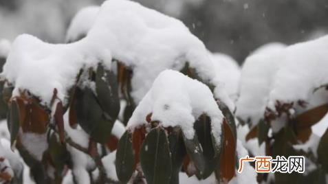雪台风正在形成 雪台风是什么意思