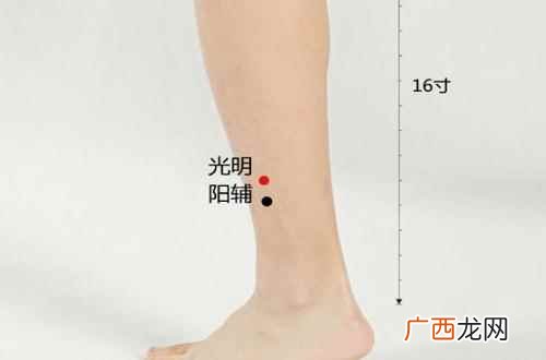 光明的准确位置图片及作用 光明的准确位置图片