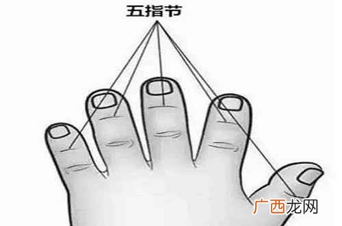小儿推拿揉五指节的功效与作用 五指节的准确位置图,五指节小儿推拿