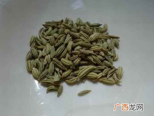 祛寒止痛对寒湿、气滞引起的子宫 小茴香的功效与作用