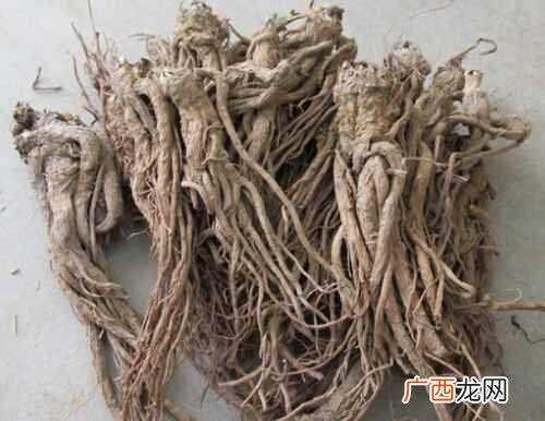 当归的功效与作用是什么 当归的功效与作用