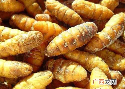 降高脂血症蚕蛹炒食治劳瘦及小儿瘦 蚕蛹的功效与作用,蚕蛹的营养价值