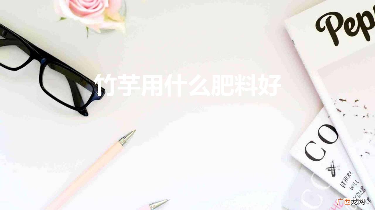 竹芋用什么肥料好