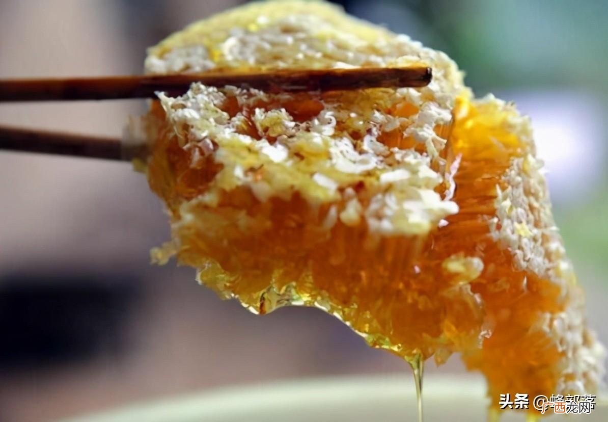 蜜蜂分蜂期多久检查一次王台正常 中蜂王台多久看一次