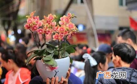 广州春节逛花街哪里最热闹 广州哪里可以逛花街2022