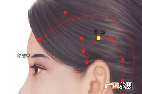 率谷穴的准确位置图标准 率谷的准确位置图,率谷准确位置图和作用