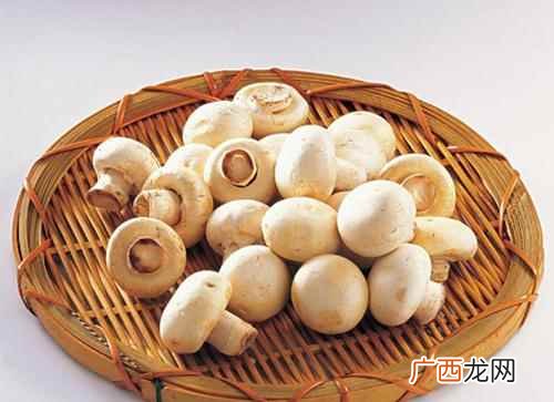 双孢菇的营养价值是蔬菜水果的4 双孢菇的营养价值,白蘑菇有什么营养价值