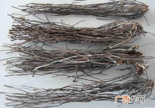 威灵仙的功效与作用及禁忌 威灵仙的功效与作用