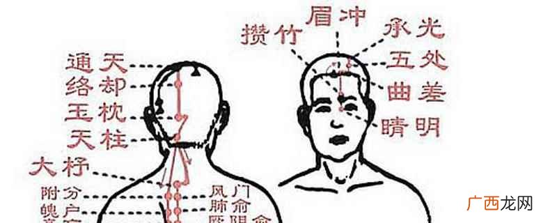 如何快速打通后背淤堵的膀胱经 膀胱经淤堵的主要表现是什么