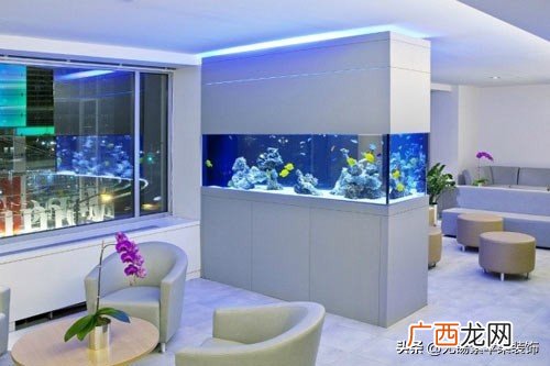 其实进门看见鱼缸不吉利 鱼缸正对入户门的好处