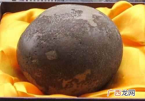 镇惊化痰马宝是什么马宝 马宝的功效与作用