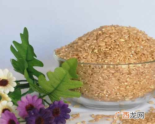 多吃糙米有利于减肥日本研究证明 糙米有什么功效