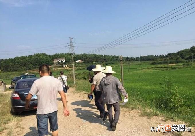 各地发布的标准不一样 耕地补贴一亩地多少钱