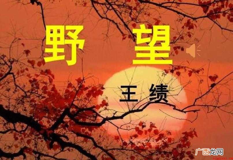 《野望》创作背景是什么