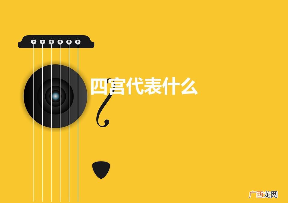 四宫代表什么领域 四宫代表什么