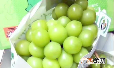 香印青提为什么有贵有便宜 日本香印青提为什么贵