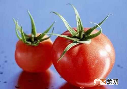 六款西红柿减肥食谱 西红柿可以减肥吗,西红柿减肥法