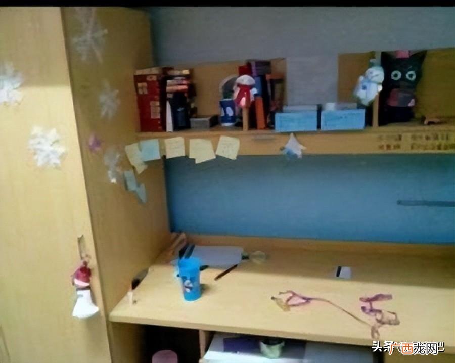 河南科技职业大学是几本？多少分才能报考？