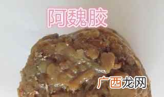 阿魏钓什么鱼效果好 阿魏钓鱼的使用方法