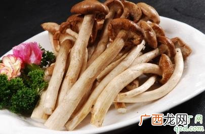 茶树菇根能吃吗 新鲜茶树菇怎样吃最好