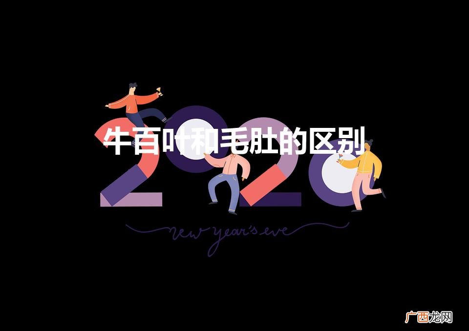 牛百叶和毛肚的区别图片 牛百叶和毛肚的区别