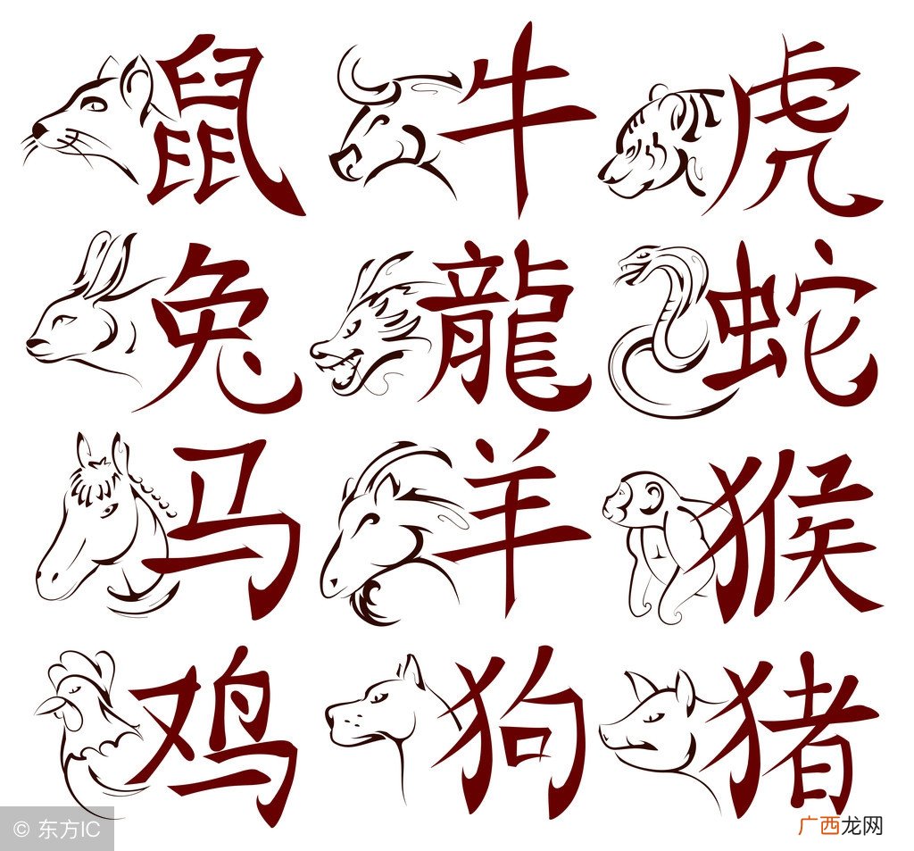 属虎人的性格与命运 属虎的好吗