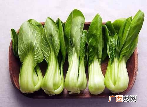 小白菜:保持血管弹性 吃什么通血管