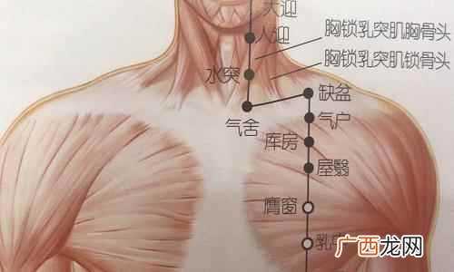 乳中穴的功效与作用 乳中的准确位置图,乳中准确位置图和作用