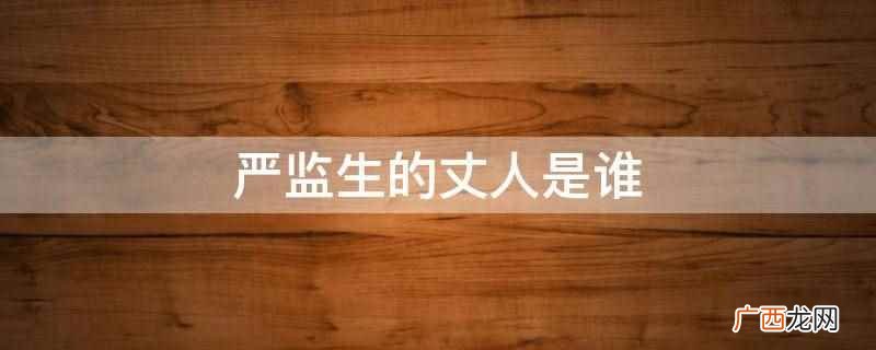 严监生的丈人是明朝著名的内阁首辅徐阶 严监生的丈人是谁