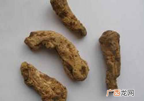 独活的功效与作用及禁忌症有 独活的功效与作用及禁忌症
