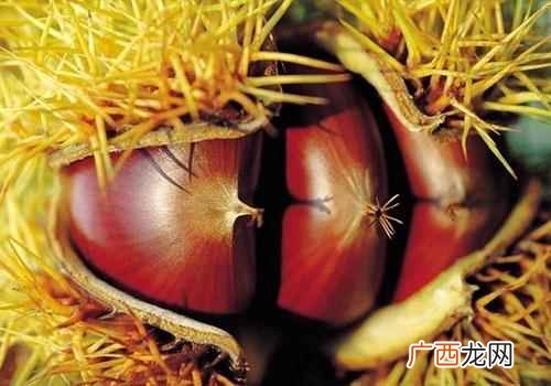 10月吃什么水果比较好 10月吃什么水果