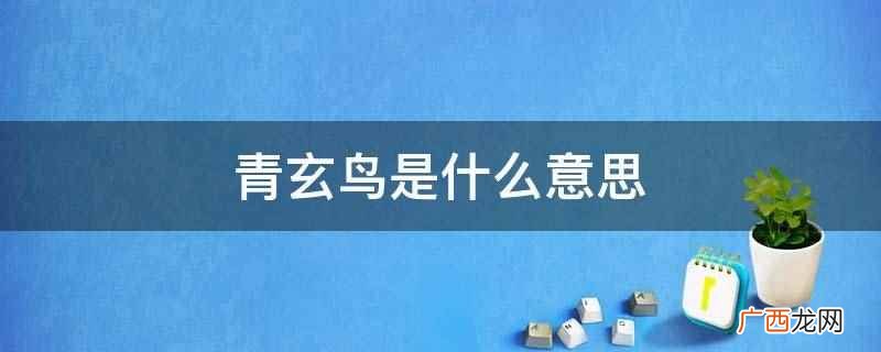 青玄鸟与阁主关系 青玄鸟是什么意思