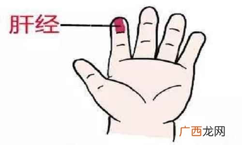 小儿推拿肝经的正确位置图 小儿肝经的正确位置图,小儿推拿肝经的作用