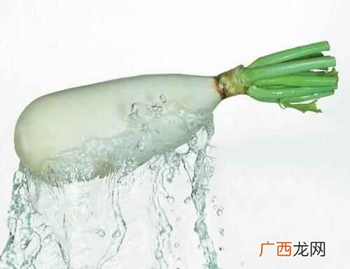 萝卜的功效与作用是什么 萝卜的功效与作用